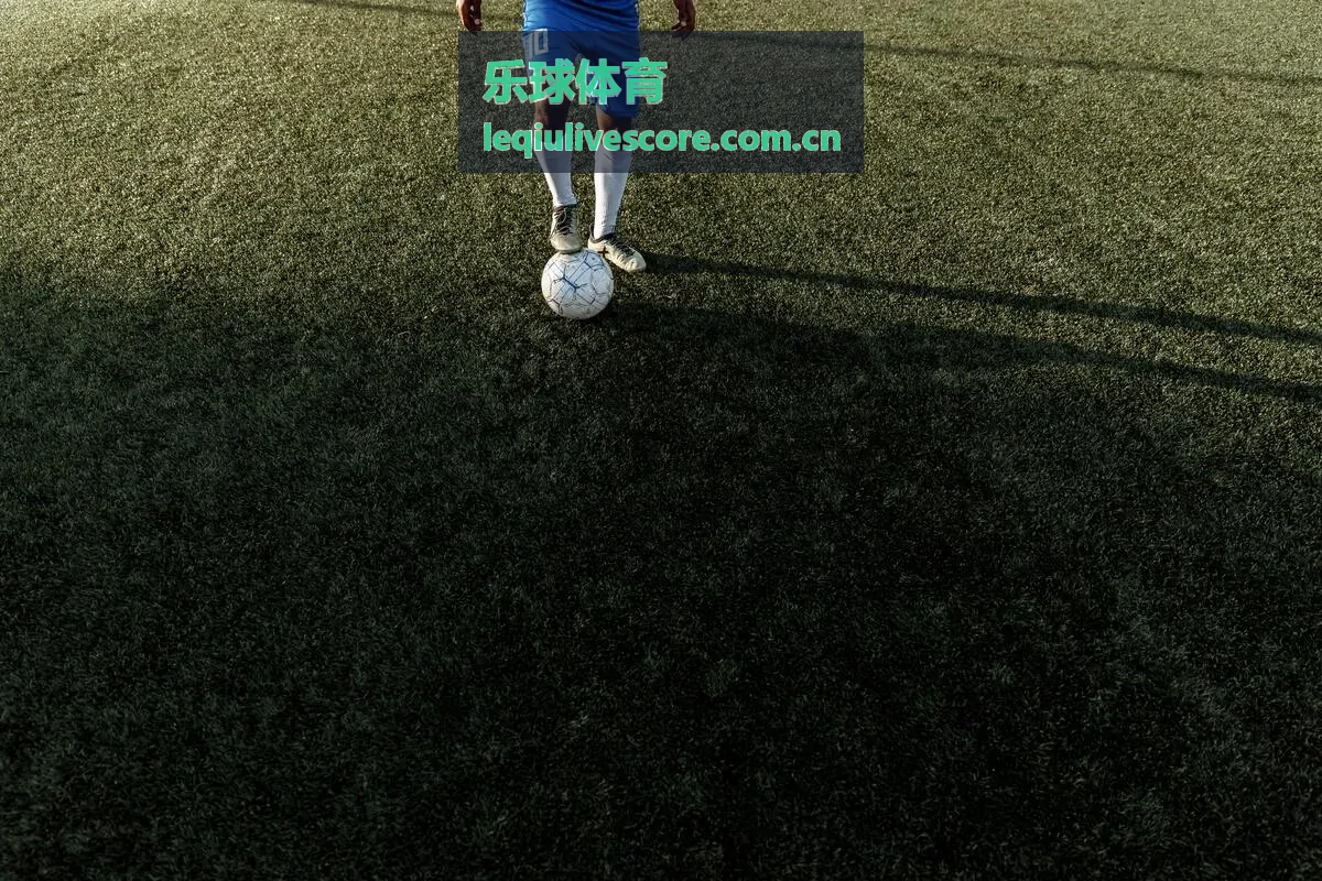 乐球体育数据可视化图表展示